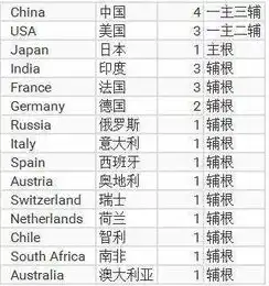 中国有根服务器吗?ipv6，揭秘中国根服务器，IPv6时代下的网络基石与未来展望