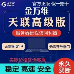 金万维天联高级版安装，金万维天联高级版服务器性能优化攻略，揭秘提升运行速度的秘诀