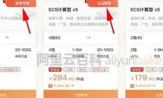 阿里云服务器如何续费便宜一点，阿里云服务器续费攻略，轻松省下大笔费用，助你轻松运维！