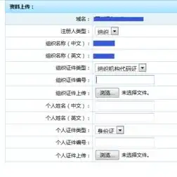 网站域名注册需要什么资料和手续费用，网站域名注册全攻略，所需资料、手续及费用详解