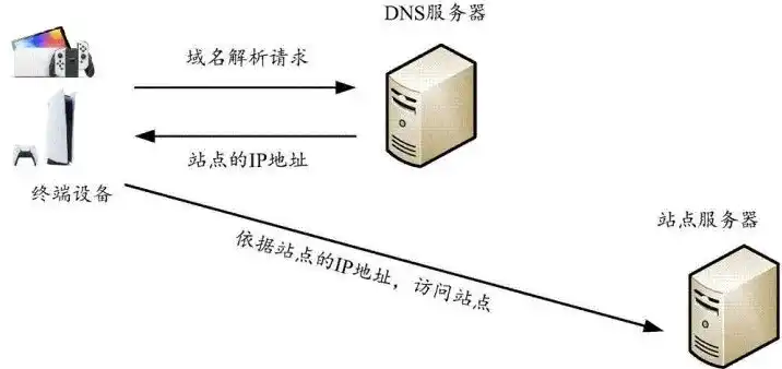 网站服务器ip地址查询，深入解析DNS服务器地址设置，根据网站服务器IP地址的查询与应用