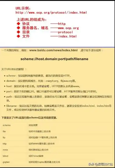 网站服务器ip地址查询，深入解析DNS服务器地址设置，根据网站服务器IP地址的查询与应用