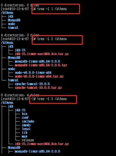 linux服务器配置查询命令是什么，Linux服务器配置查询命令大全，全面解析系统配置与诊断技巧