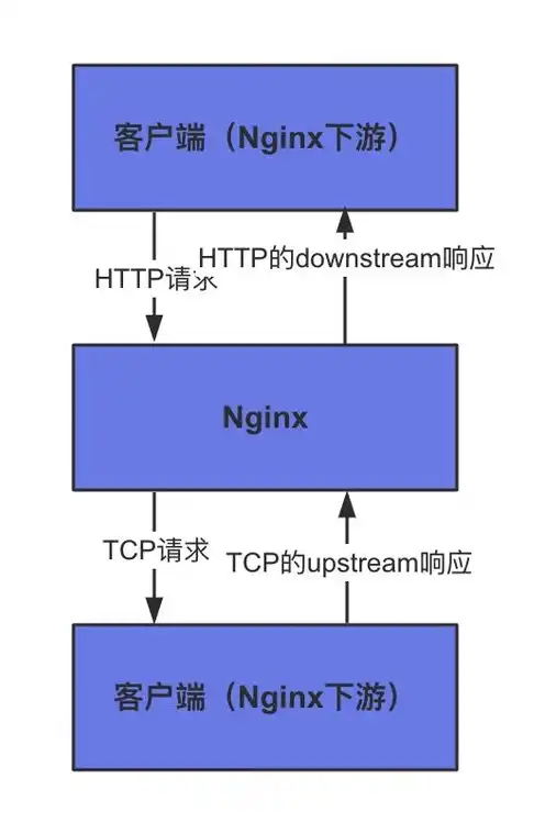 服务器作用和主要功能是什么，深入解析服务器的作用与主要功能，网络世界的核心动力