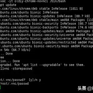 vnc服务端设置密码，云服务器VNC密码重置攻略，详细步骤与技巧解析