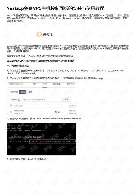 搭建vps主机教程视频下载网站安装，VPS主机教程视频下载网站搭建指南，轻松入门VPS服务器，解锁高效下载体验！