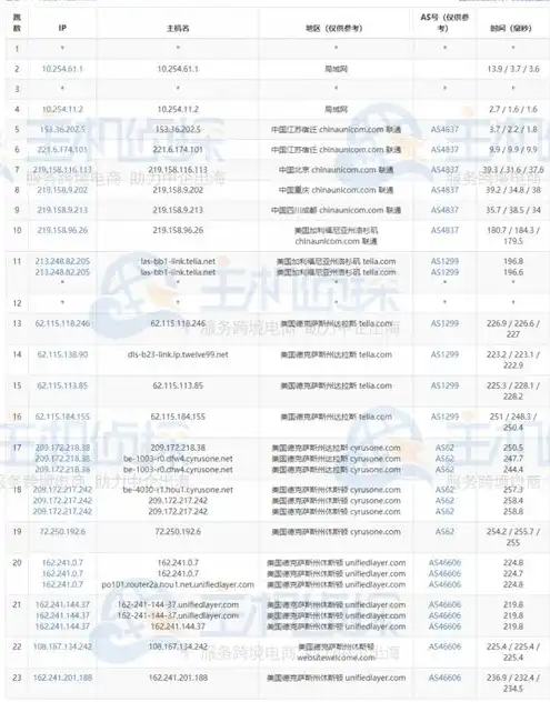 美国vps主机排名前十，2023年美国VPS主机排名，前十强推荐，助您高效稳定搭建网站！