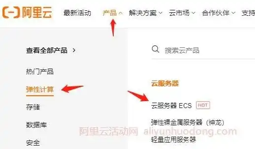 阿里国际云服务器购买渠道是什么样的，全面解析阿里国际云服务器购买渠道，了解不同途径与优势