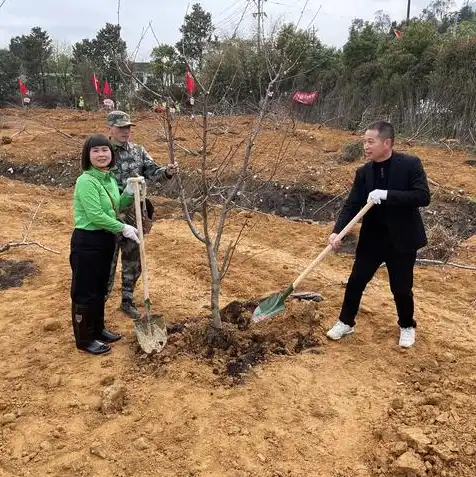 云服务是什么时候开始的，云服务的历史溯源，从诞生到普及的跨越之旅