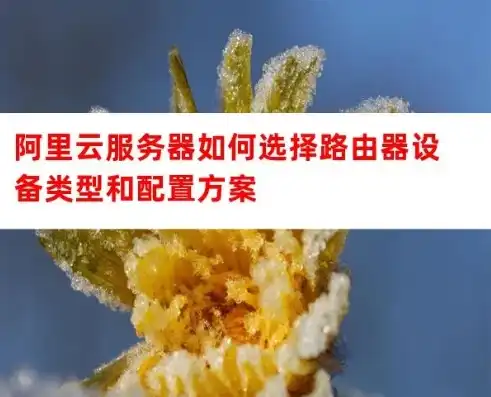 阿里云服务器怎么选择路由器，阿里云服务器选购指南，如何选择合适的路由器及配置方案