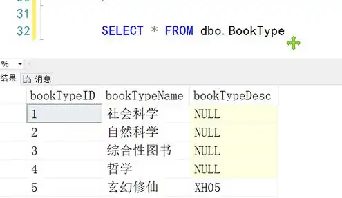 查询对象存放的是什么数据，揭秘大数据时代，查询对象存放的奥秘与挑战