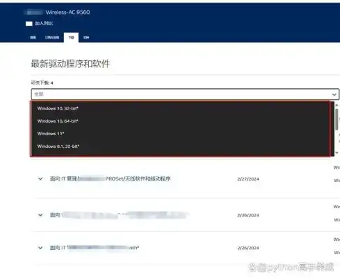 vps主机怎么用，深入解析VPS主机玩法，从入门到精通