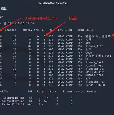 vmware虚拟机破解版下载，深入解析VMware虚拟机破解版，手机版安装教程与使用心得分享