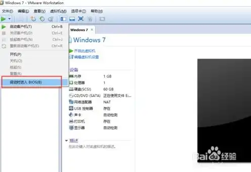 vmware虚拟机进入bios，深入探讨VMware虚拟机进入BIOS的步骤与技巧