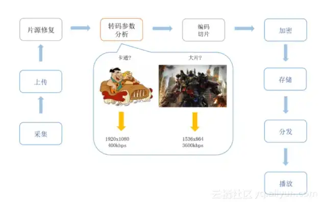 vps 云主机 论坛，深入解析VPS云主机，论坛热议与选购指南