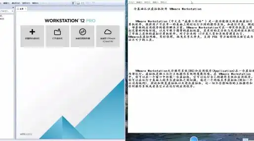 vm 共享虚拟机，深入探讨VMware虚拟机软件共享，优势、方法与技巧