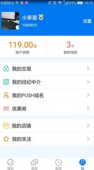 网站域名注册需要什么资料和手续费用，网站域名注册全攻略，所需资料、手续及费用详解