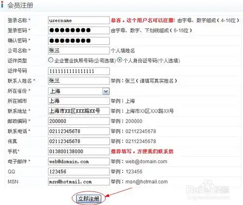 中文域名注册查询网址，全面解析中文域名注册查询网址，注册流程、注意事项及常见问题解答