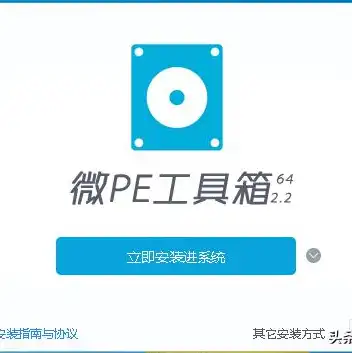 虚拟机u盘启动装系统，深度解析，如何在虚拟机中利用U盘启动并安装PE系统，实现快速便捷的系统迁移