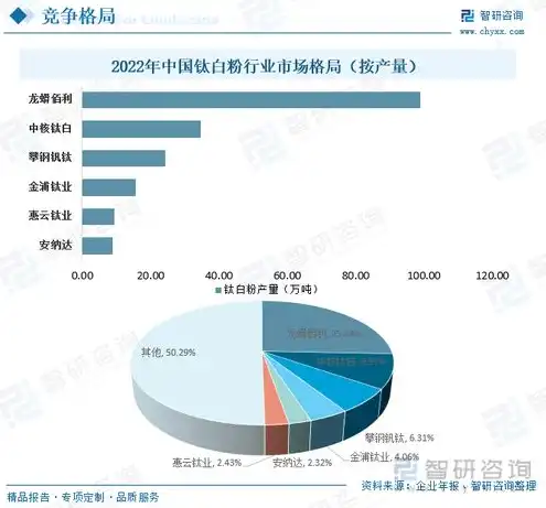 云服务排名中国，2023年中国云服务市场排名，洞察行业格局与未来发展趋势