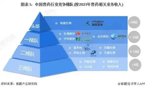 云服务排名中国，2023年中国云服务市场排名，洞察行业格局与未来发展趋势