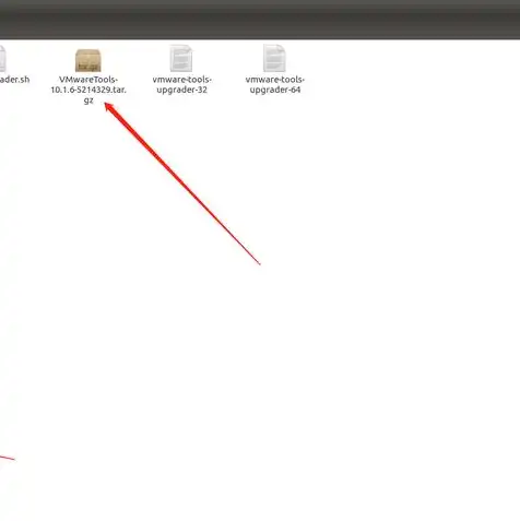 vmware 虚拟机文件压缩，深入解析，如何在VMware虚拟机中找到并使用压缩包的VMware Tools