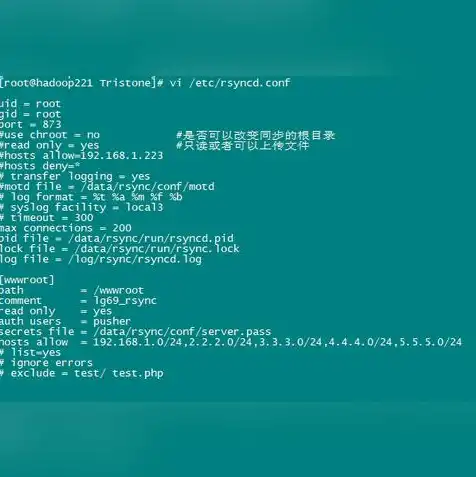 服务器型号怎么看linux，深入解析服务器型号识别攻略，Linux环境下如何识别服务器型号