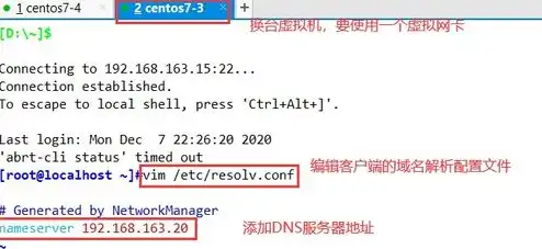 linux服务器配置dns解析，Linux服务器DNS解析配置详解，从基础到实战