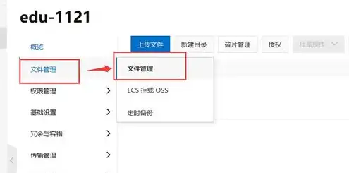 oss对象存储什么意思，深入解析OSS对象存储，原理、应用及未来发展趋势