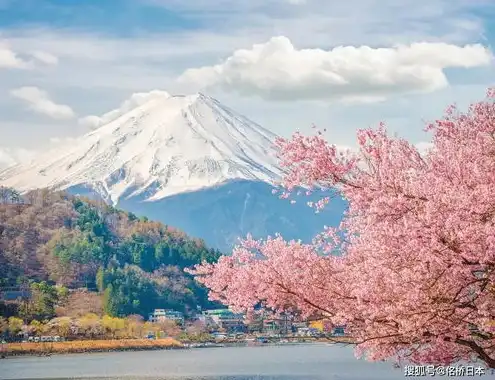 日本樱花云服务器免费吗是真的吗，揭秘日本樱花云服务器免费真相，是馅饼还是陷阱？