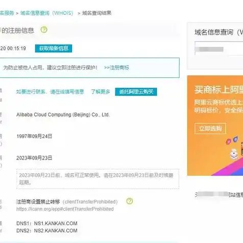 域名注册信息查询whois，深入解析域名注册信息查询，whois解析与实操指南