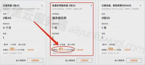 阿里云服务器24元，阿里云服务器地铁包年套餐解析，24元背后的高性价比解析