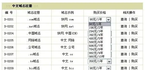 中文域名注册需要多少钱一个，详解中文域名注册费用，价格构成及优惠策略一网打尽