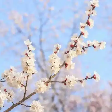 云服务器可以用来玩游戏吗，云服务器游戏体验，云端畅游，打破地域限制，开启全新游戏时代