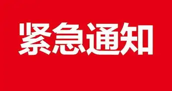 域名注册注意什么事项，域名注册全攻略，你必须知道的注意事项及技巧