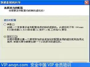 vmware试用版是什么意思，VMware虚拟机试用版安装指南，轻松搭建虚拟环境，畅享虚拟化体验