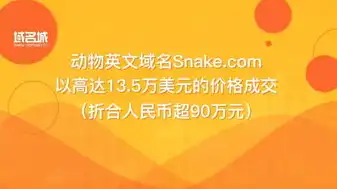 注册域名什么意思怎么填，注册域名的含义与重要性，揭秘互联网时代的数字身份