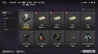 pubg服务器维护时间，全面解析，pubg服务器维护期间，玩家该如何度过这段宝贵时间？