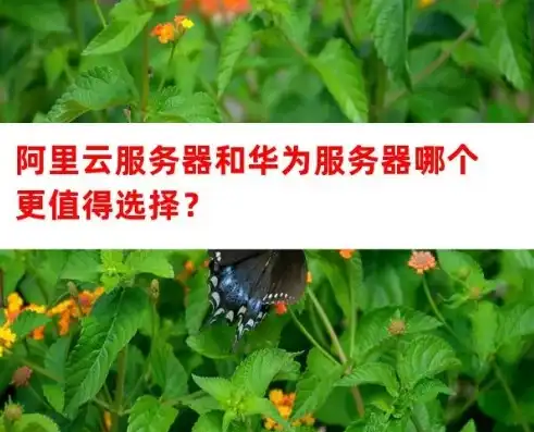 阿里云和华为云服务器哪个好一点，阿里云与华为云服务器性能对比，揭秘两者优劣，助您选择最佳云服务