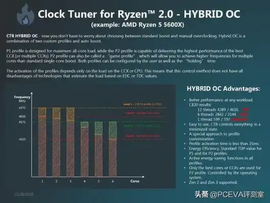 服务器配置riad卡，深入解析服务器配置Ryzen 5 5600G与Ryzen 9 5950X，RIAD卡性能对比及优化技巧