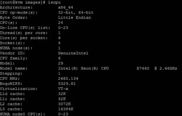 kvm 虚拟机 cpu，深入探讨KVM虚拟机CPU优化策略及实践