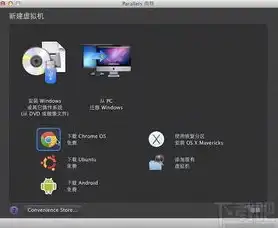 Google云服务器安装macos，深度解析，在Google云服务器上安装macOS系统，轻松开启您的云上Mac之旅