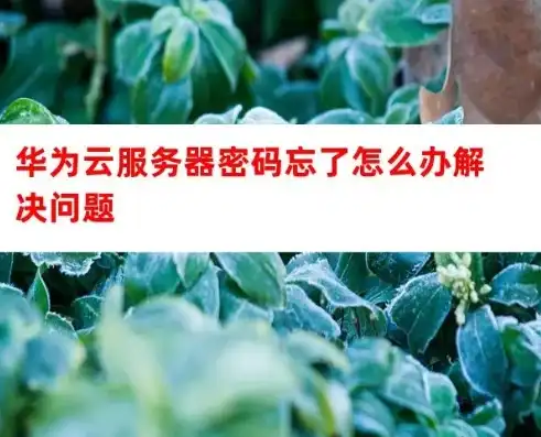 华为云服务怎么找回密码忘了，华为云服务密码找回攻略，轻松找回，保障账户安全