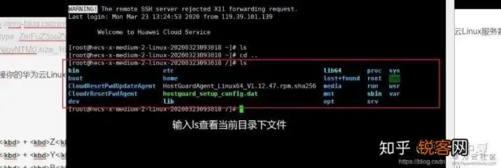 服务器怎么安装linux系统教程，详细教程，如何为服务器安装Linux系统