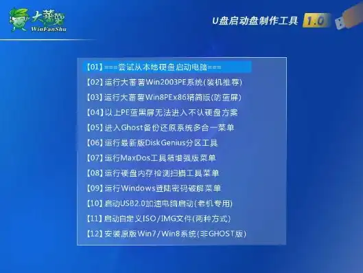 虚拟机如何u盘启动系统，深入解析，虚拟机U盘启动系统全攻略，助你轻松实现个性化安装