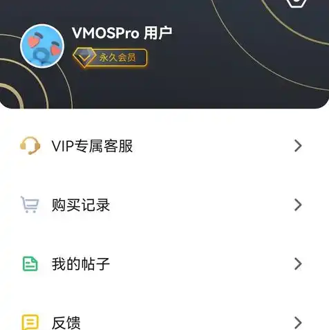 虚拟机vmospro破解版2.9.7，深入解析VMOS Pro破解版2.9.7，功能、特点及使用技巧详解