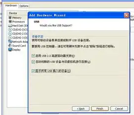 vmware 连接usb设备，深入解析VMware虚拟机连接USB设备的操作指南及技巧