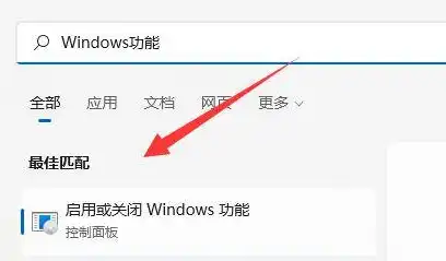 win11虚拟机打开文件上面的标签显示不出来，Win11虚拟机打开文件标签显示不出来的解决办法及原因分析