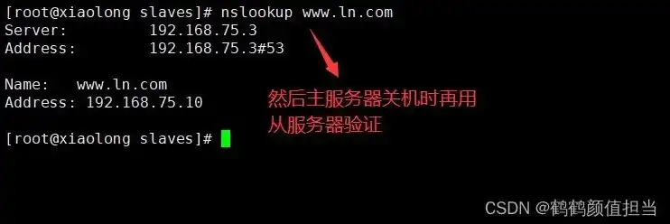 提示服务器名称或地址不合法怎么解决，深度解析，服务器名称或地址不合法错误处理指南及预防措施