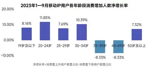 国产服务器厂家汇总，中国服务器市场崛起，国产服务器厂家发展综述